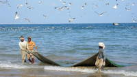 Qurum Beach - Crossing Oman