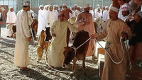 Nizwa Souq - Crossing Oman