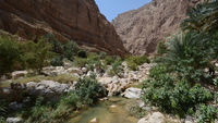 Wadi Shab Walk - Crossing Oman