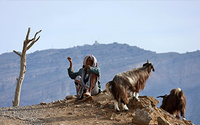 Grand Canyon - Crossing Oman