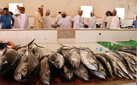 Fish Market Muscat - Crossing Oman