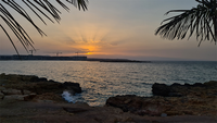 Turtel Beach - Crossing Oman