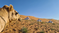 Desert Camp - Crossing Oman